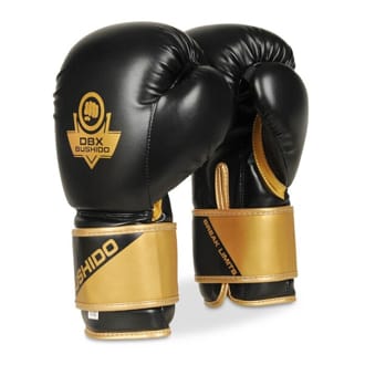 Boxersk� rukavice DBX BUSHIDO B-2v10