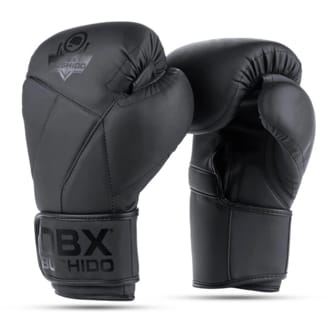 Boxersk� rukavice DBX BUSHIDO B-2v15B