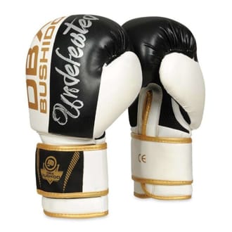 Boxersk� rukavice DBX BUSHIDO B-2v16