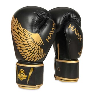 Boxersk� rukavice DBX BUSHIDO B-2v17