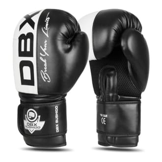 Boxersk� rukavice DBX BUSHIDO B-2v20