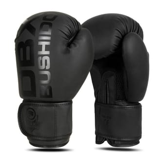 Boxerské rukavice DBX BUSHIDO B-2v21 Boxerské rukavice DBX BUSHIDO B-2v21
