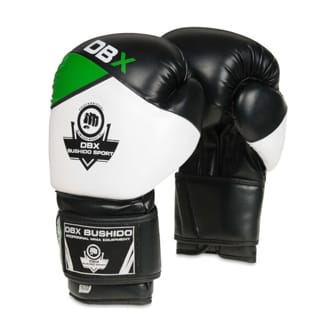 Boxersk� rukavice DBX BUSHIDO B-2v6