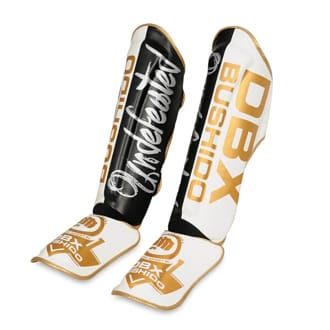 Chr�ni�e holen� DBX BUSHIDO SP-10v5