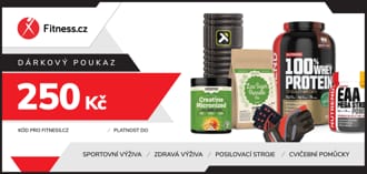 D�rkov� poukaz v hodnot� 250 K�