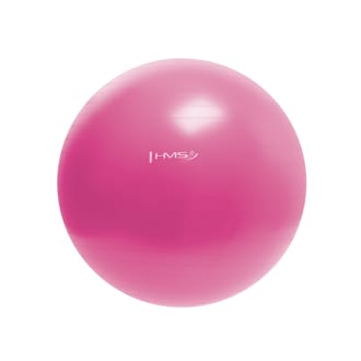 N�hled - Gymnastick� m�� HMS YB01N 55 cm r��ov�