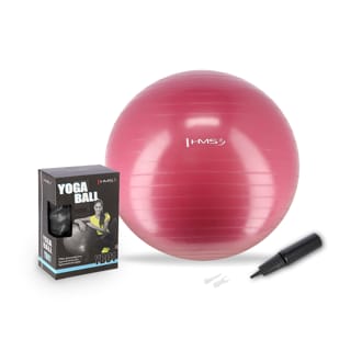 N�hled - Gymnastick� m�� HMS YB01N 65 cm �vestkov�