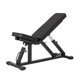 N�hled - Nastaviteln� lavice inSPORTline AB100