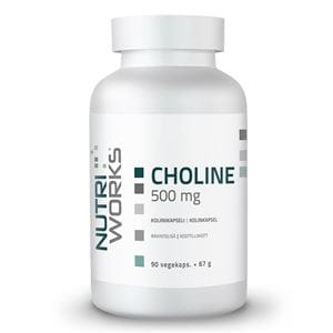 NutriWorks Choline 500mg 90 kapsl�