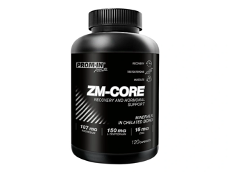 N�hled - Prom-in ZM CORE