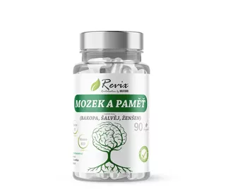 N�hled - REVIX MOZEK A PAM̍