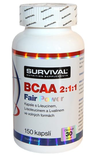 Survival BCAA 2:1:1 Fair Power