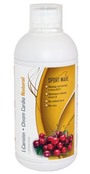 Survival L-Carnitin + Chrom 500 ml 