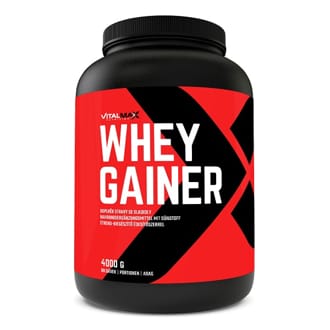 Vitalmax WHEY GAINER Vitalmax WHEY GAINER
